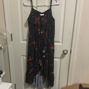 Parker Black and Red Floral Dress